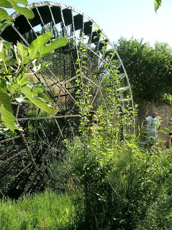 Casica De Perintin Cottage Ricote Екстериор снимка